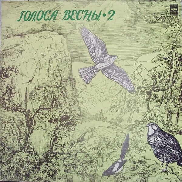 Голоса Весны 2