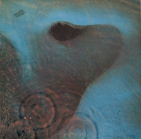 Meddle