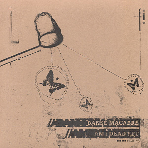 Split 7"