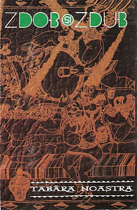 Tabăra Noastra