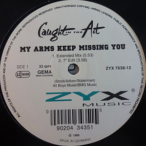 My Arms Keep Missing You