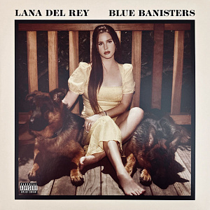 Blue Banisters