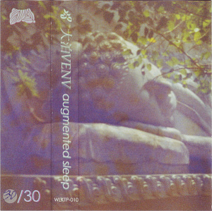 Augmented Sleep