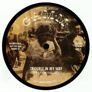Trouble In My Way / The Riot