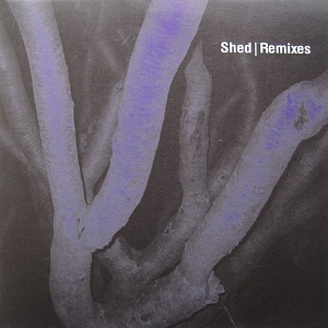 Remixes