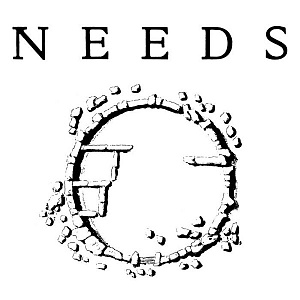 NEEDS