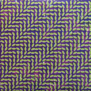 Merriweather Post Pavilion
