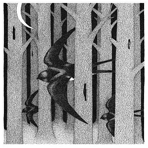 Parallel Landscapes