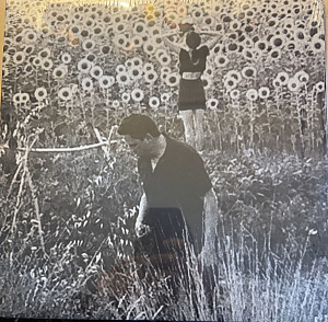 Jesu / Sun Kil Moon