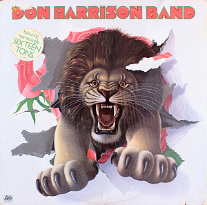 The Don Harrison Band