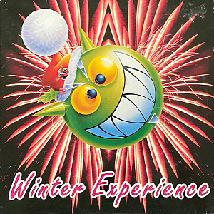 Winter Experience