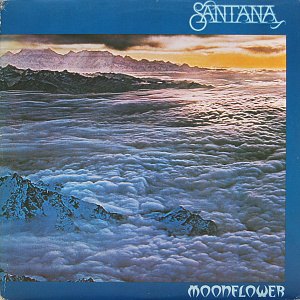 Moonflower